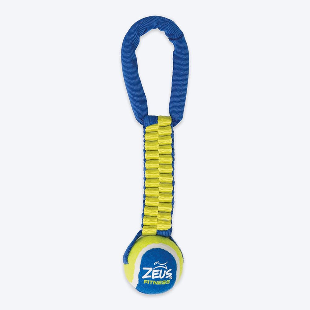 Zeus Fitness Tennis Ball Nylon Twist Tug Fetch Dog Toy - Green & Blue