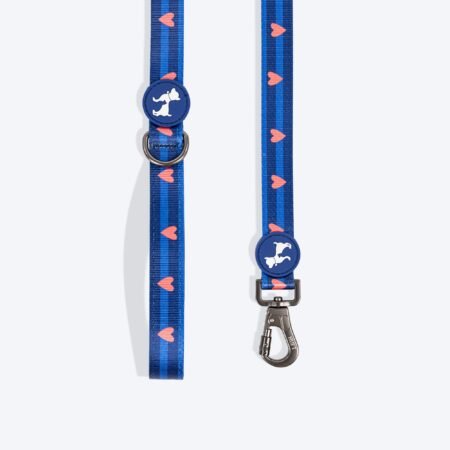 HUFT Striped Love Leash For Dog - Navy