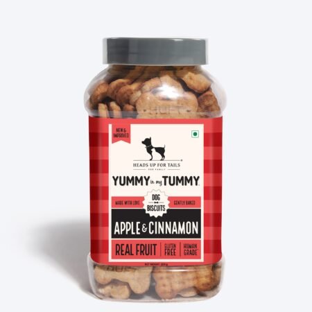 HUFT Yummy In My Tummy Apple & Cinnamon Vegetarian Gluten Free Dog Biscuit