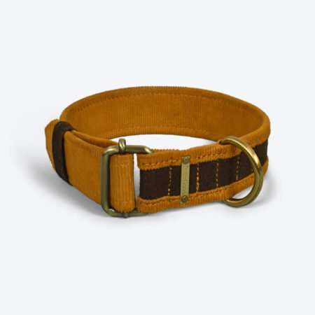 IndieGood Matching Corduroy Dog Collar & Bracelet Set For Humans - Brown