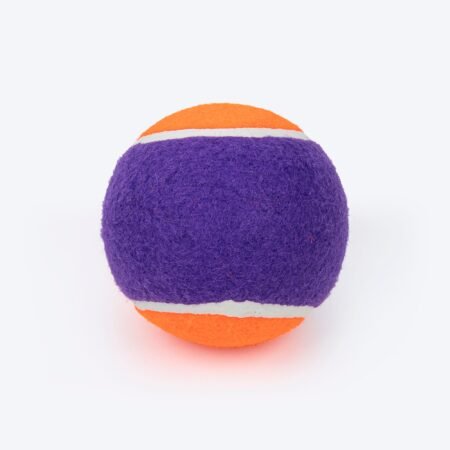 HUFT Fetch Play Pack Tennis Ball For Dog - Orange & Purple