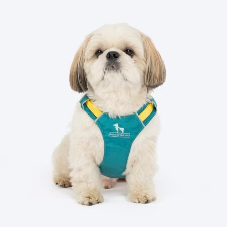 HUFT Walkmate Harness For Dog - Teal Green
