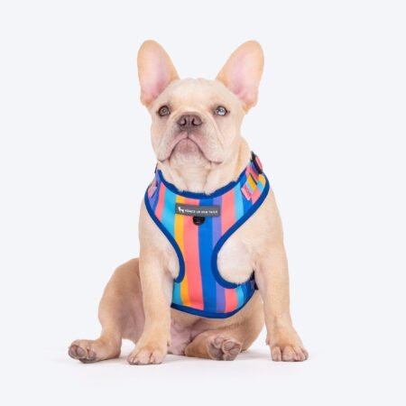 HUFT Spectrum Stripes Adjustable Harness For Dog - Multicolor