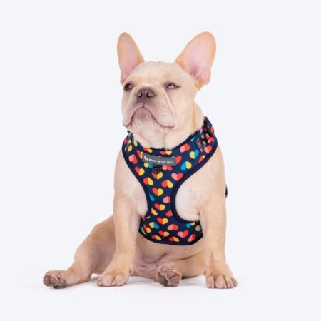 HUFT Love Struck Adjustable Harness For Dog - Navy