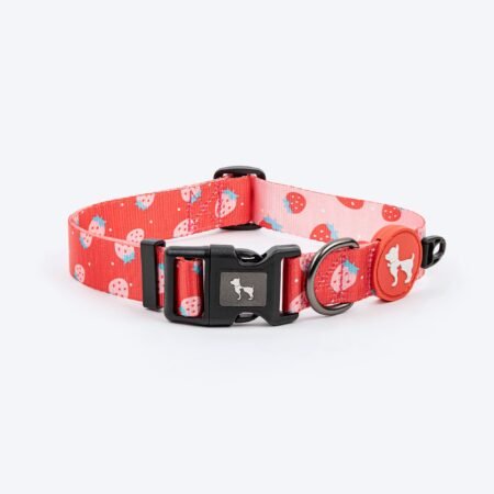 HUFT Berry Bliss Collar For Dog - Red