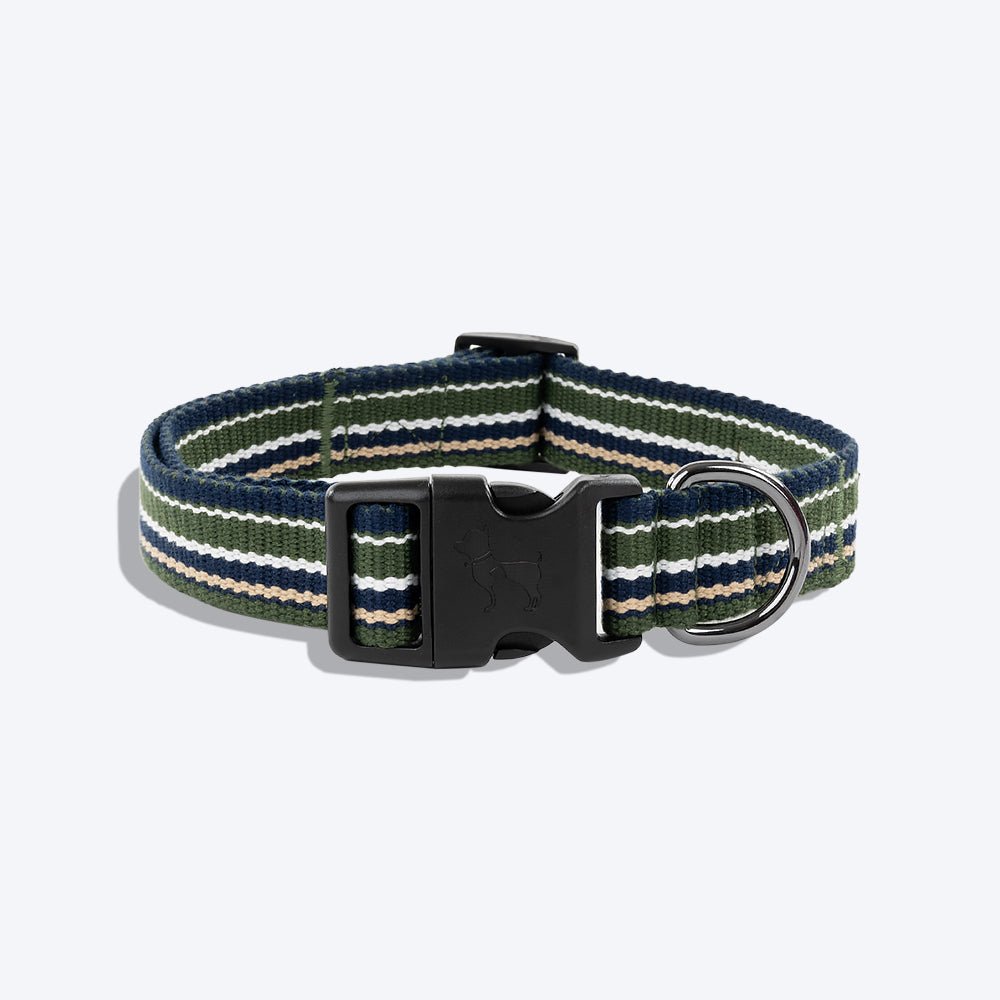 HUFT Vintage Dog Collar - Navy Blue & Green