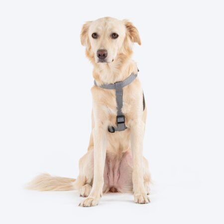 TLC Step-In Harness For Dog - Grey