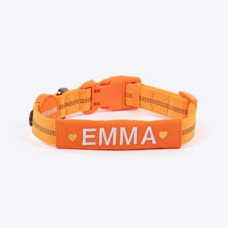 HUFT Personalised Xplorers Dog Collar - Orange