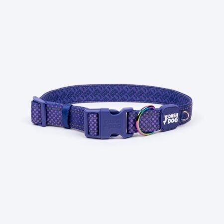 Dash Dog Dotty Padded Collar For Dog - Purple