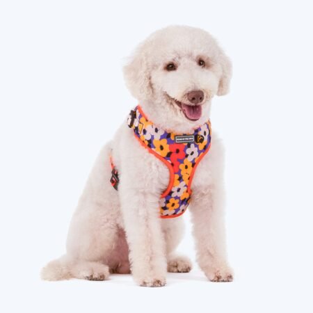 HUFT Misfit Meadow Adjustable Dog Harness - Purple