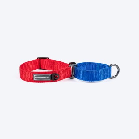 HUFT Martingale Collar For Dog - Crimson Red & Cobalt Blue