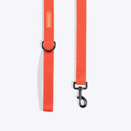 HUFT Classic Leash For Dog - Rust Orange