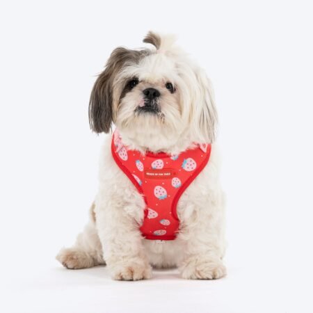 HUFT Berry Bliss Adjustable Harness For Dog - Red