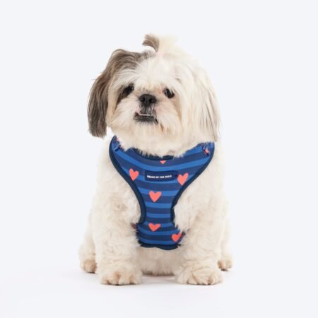 HUFT Striped Love Adjustable Harness For Dog - Navy