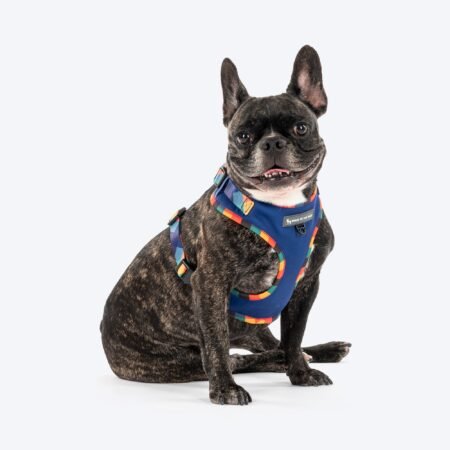 HUFT Technicolor Tartan Adjustable Harness For Dog - Multicolor