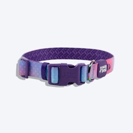 Dash Dog Flow Padded Collar - Pink & Aqua Blue