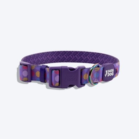 Dash Dog Circle Padded Collar - Violet
