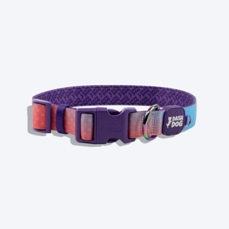 Dash Dog Flow Padded Collar - Violet & Red