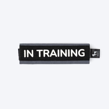HUFT Trooper Walking Aid Leash & Collar Insert (In Training)