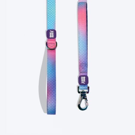 Dash Dog Flow Printed Leash - Pink & Aqua Blue