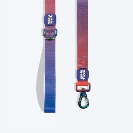 Dash Dog Flow Dual Handle Leash For Dog - Red & Purple