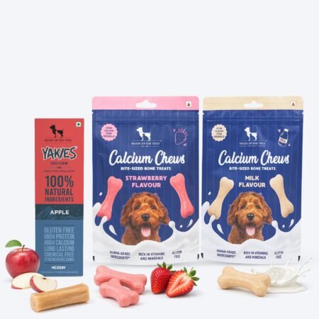 HUFT Dental Care Combo For Dog