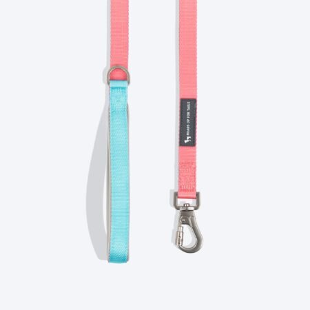 HUFT Dichromatic Leash For Dog - Pink & Turquoise