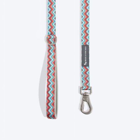 HUFT Zig Zag Twist Leash For Dog - Grey