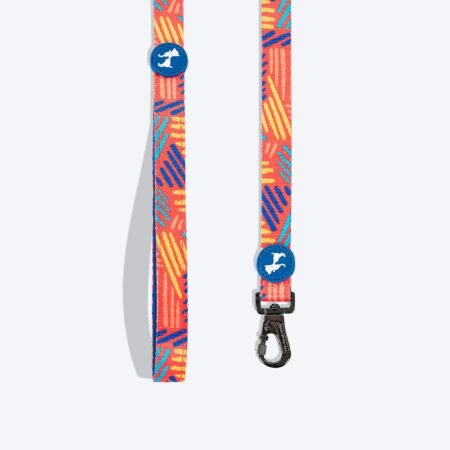 HUFT Sunset Samba Printed Dog Leash