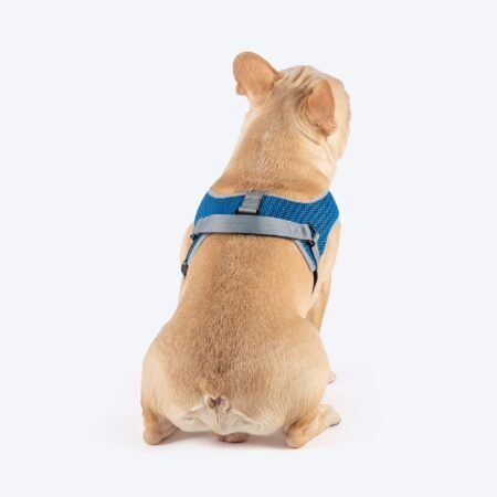 HUFT Easy Fit U-Harness For Dog - Blue