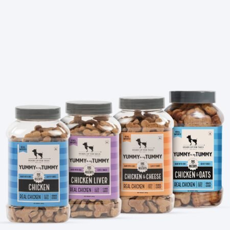 HUFT Yummy In My Tummy Gluten Free Chicken Dog Biscuits Combo - 320 g Each