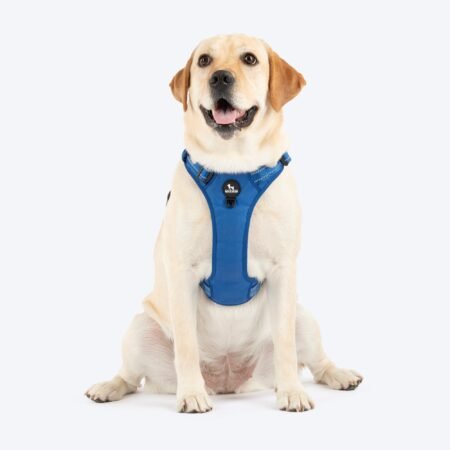 HUFT Xplorers Harness For Dog - Blue