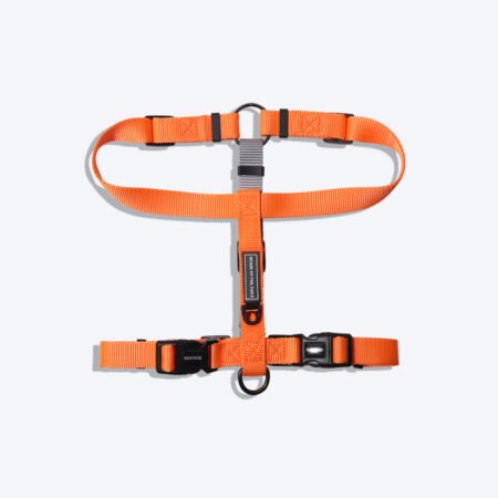 HUFT Essentials Nylon Dog H-Harness - Orange