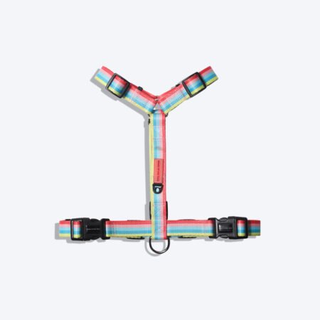 HUFT Pride Rainbow Popsicle Dog H-Harness