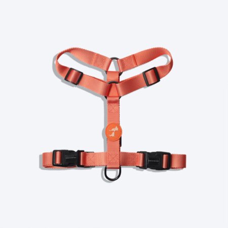 HUFT Classic Dog H Harness - Orange