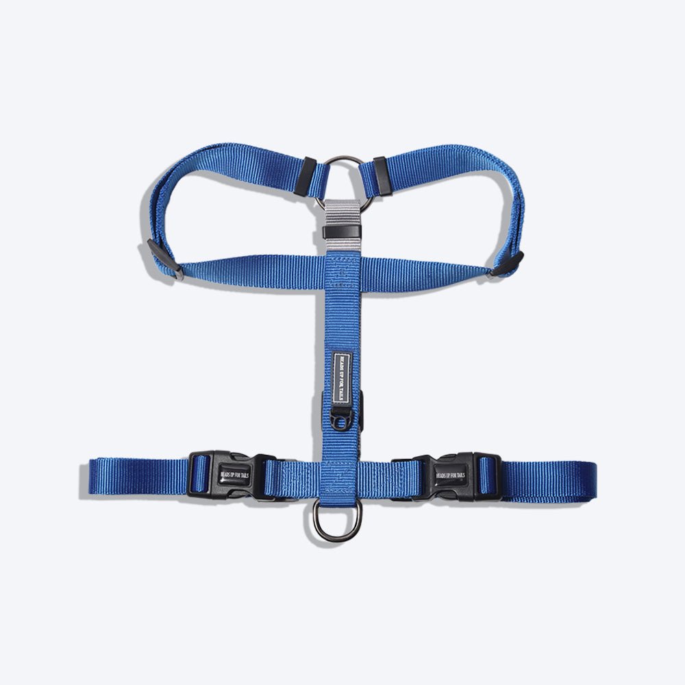 HUFT Essentials Nylon Dog H-Harness - Blue