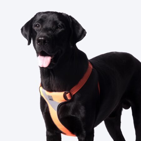 Truelove Step-In Harness For Dog With 3M Reflective Fabric - Orange