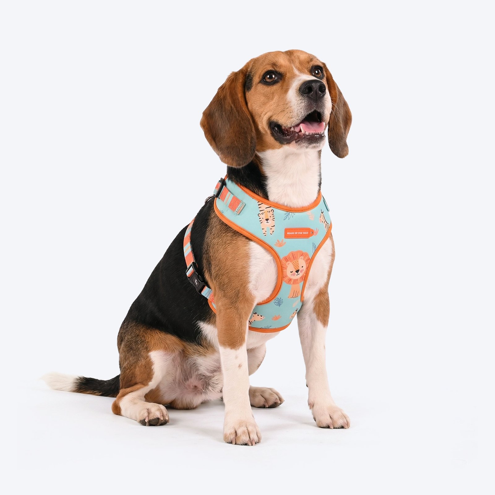 HUFT Jungle Safari Adjustable Harness For Dog - Mint Green
