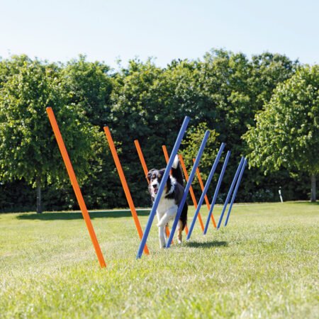 Trixie Dog Agility Slalom Weave Poles