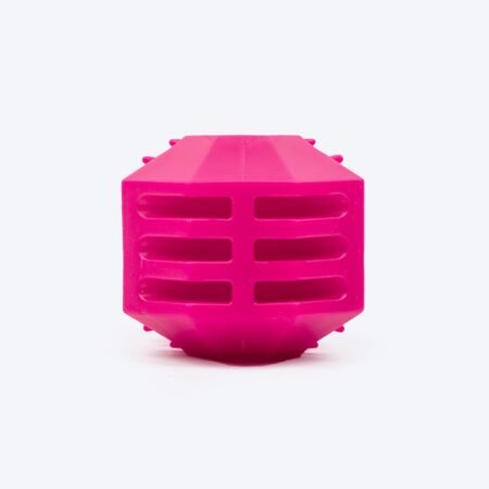 Dash Dog Treat Teaser Chew Toy For Dog - Pink