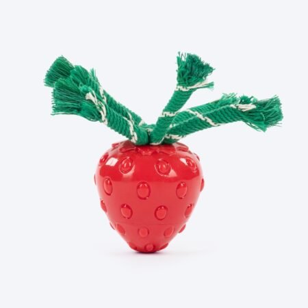 HUFT Squeakie Berrie Chew Toy For Dog - Red
