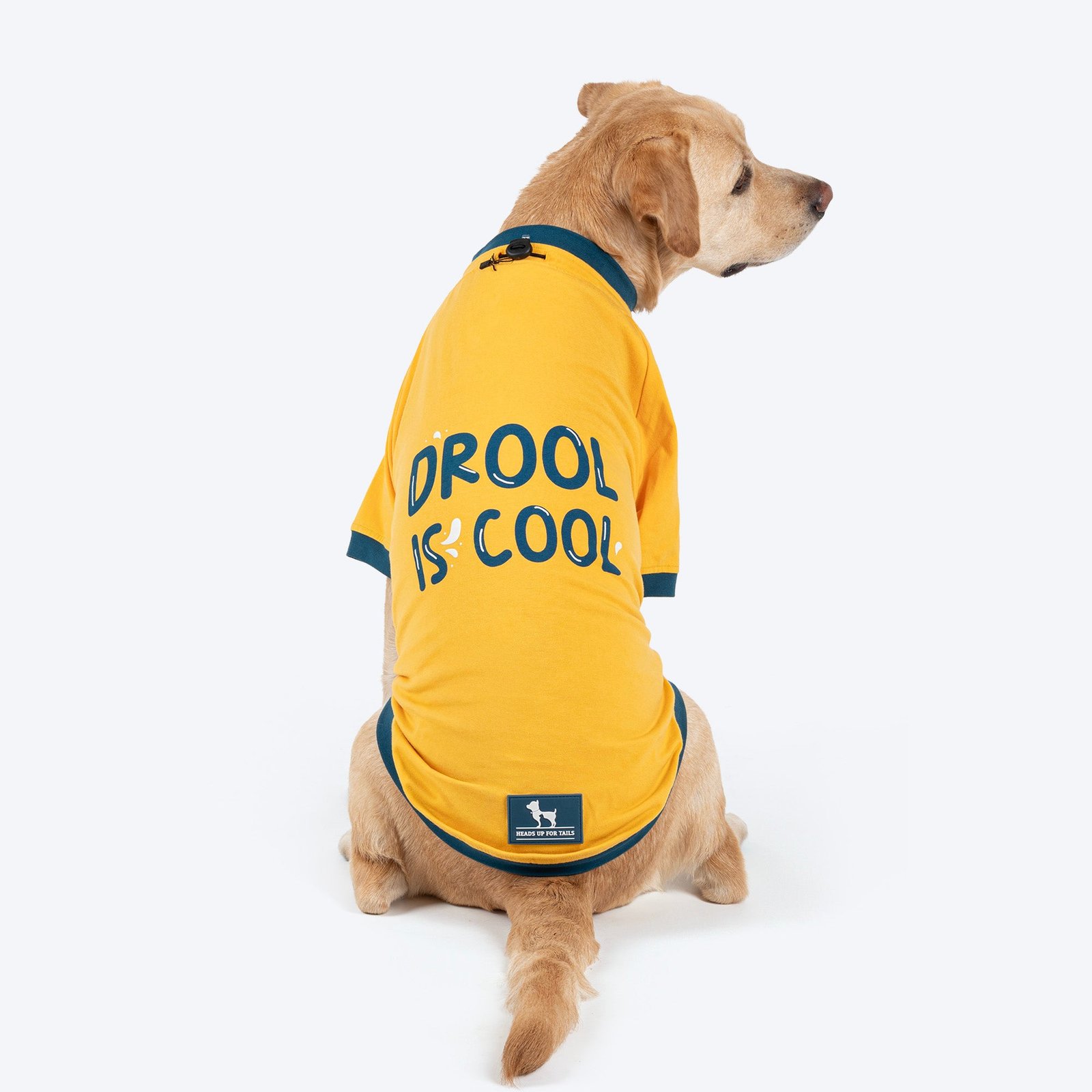 DSC_2005copy.jpg HUFT Drool Is Cool T-Shirt For Dog - Yellow