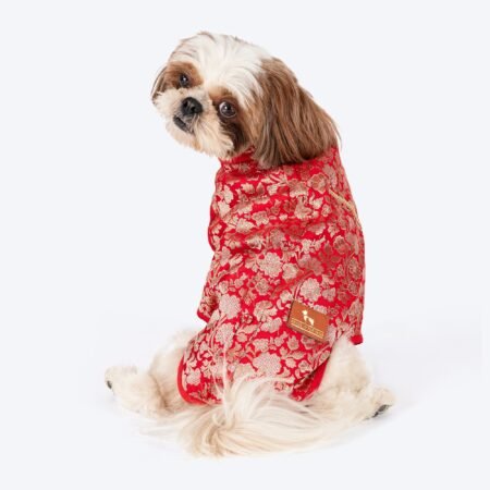 HUFT Royal Elegance Sherwani For Dog - Red