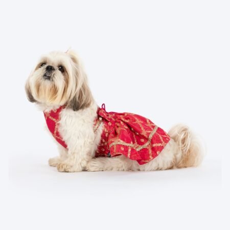HUFT Customised Gulabi Zari Paws Brocade Lehenga Choli Set For Dog - Pink