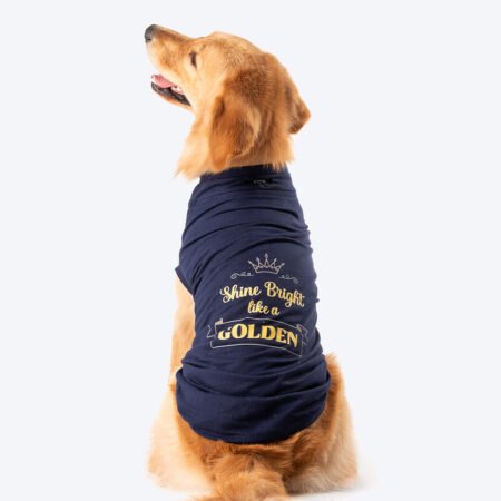 HUFT Shine Bright Like A Golden T-shirt