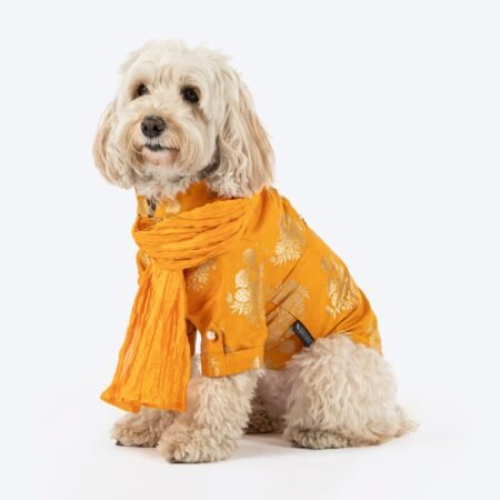 HUFT Customised Woofy Zari Glow Brocade Kurta With Dupatta For Dog - Yellow