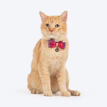 HUFT Desi Glam Bow Tie With Strap For Cat - Pink & Purple