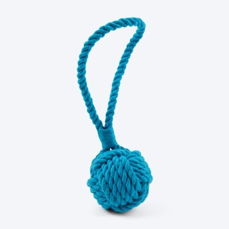 Dash Dog Twist & Tug Rope Toy For Dog - Blue