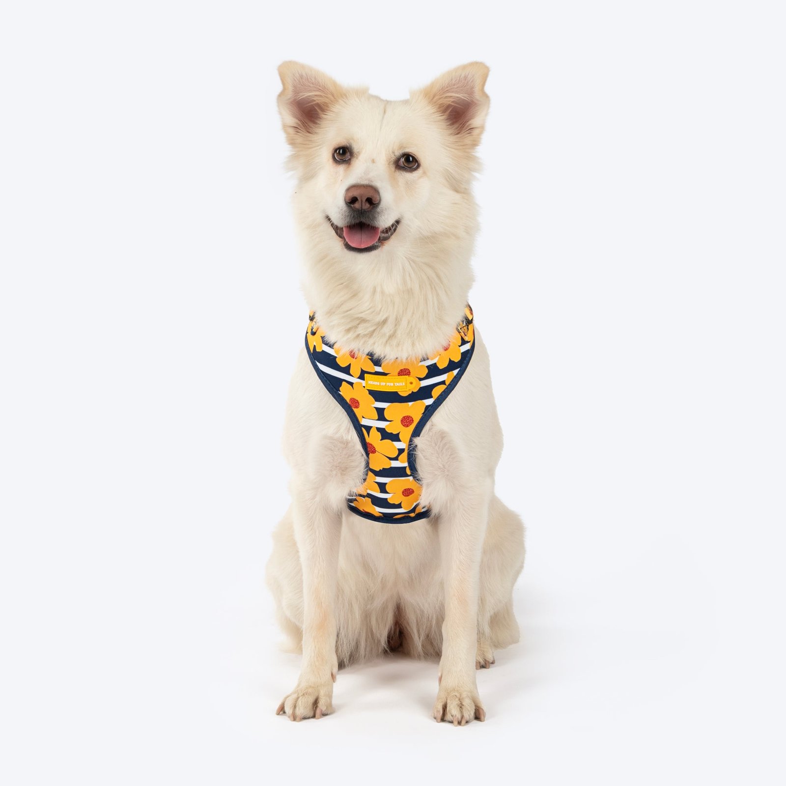 DSC_4175copy_b1420d63-9fec-4785-97de-dc22cd5af3b7.jpg HUFT Daisy Stripes Adjustable Harness For Dog - Blue & Yellow