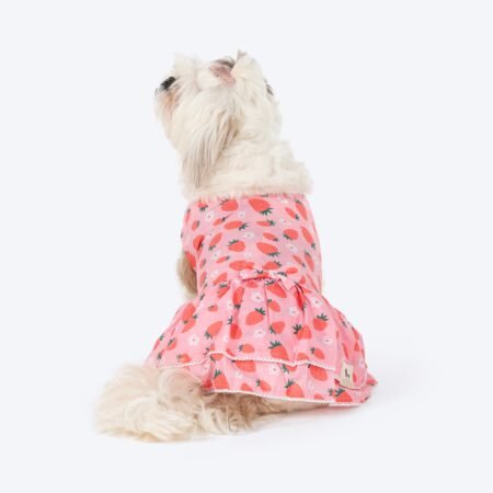 HUFT Berrylicious Printed Dress For Dog - Baby Pink